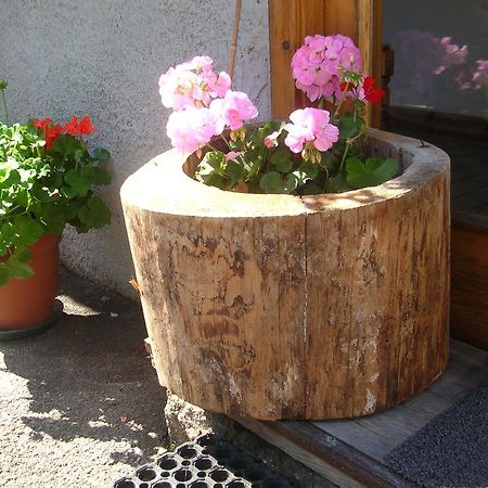Garnì Serena Canazei Bagian luar foto